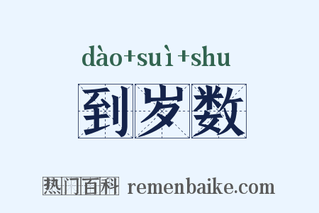 到岁数是什么意思的图片